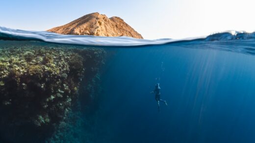 Photo Underwater scenery